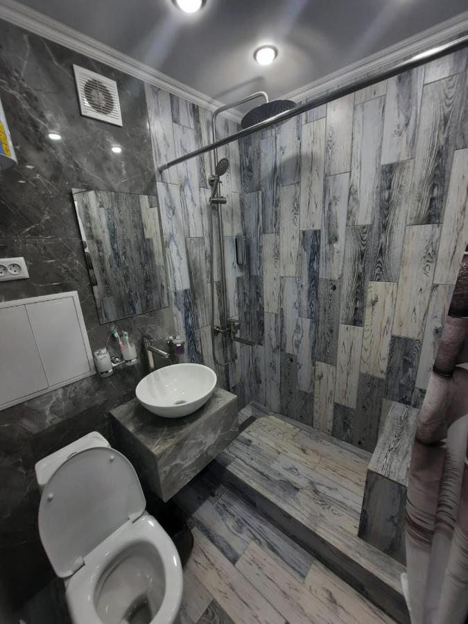 Люкс Академика Сатпаева 19 Apartment Pavlodar Ngoại thất bức ảnh